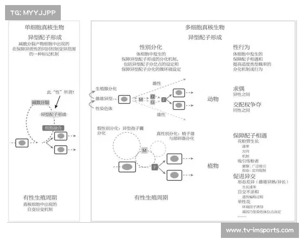 从后面的性行为：男生的偏好背后有哪些心理和生理动机？(男生从后面靠近女生代表什么)